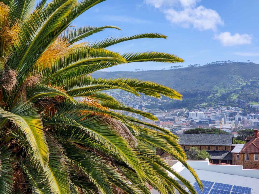 2 Bedroom Property for Sale in Vredehoek Western Cape